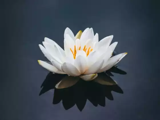 Lavora il tuo karma in modo che la tua vita funzioni per te