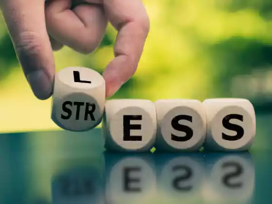 Menghilangkan Stres dan Sukses