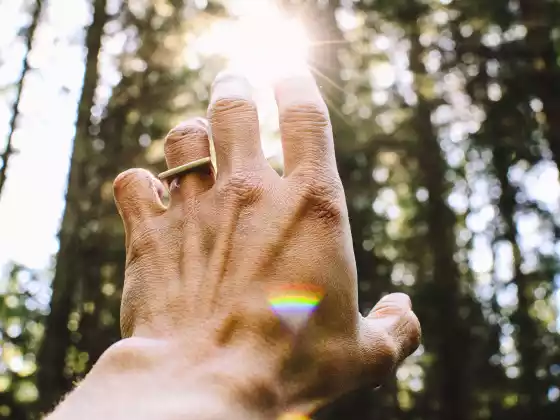 Reiki Level 1